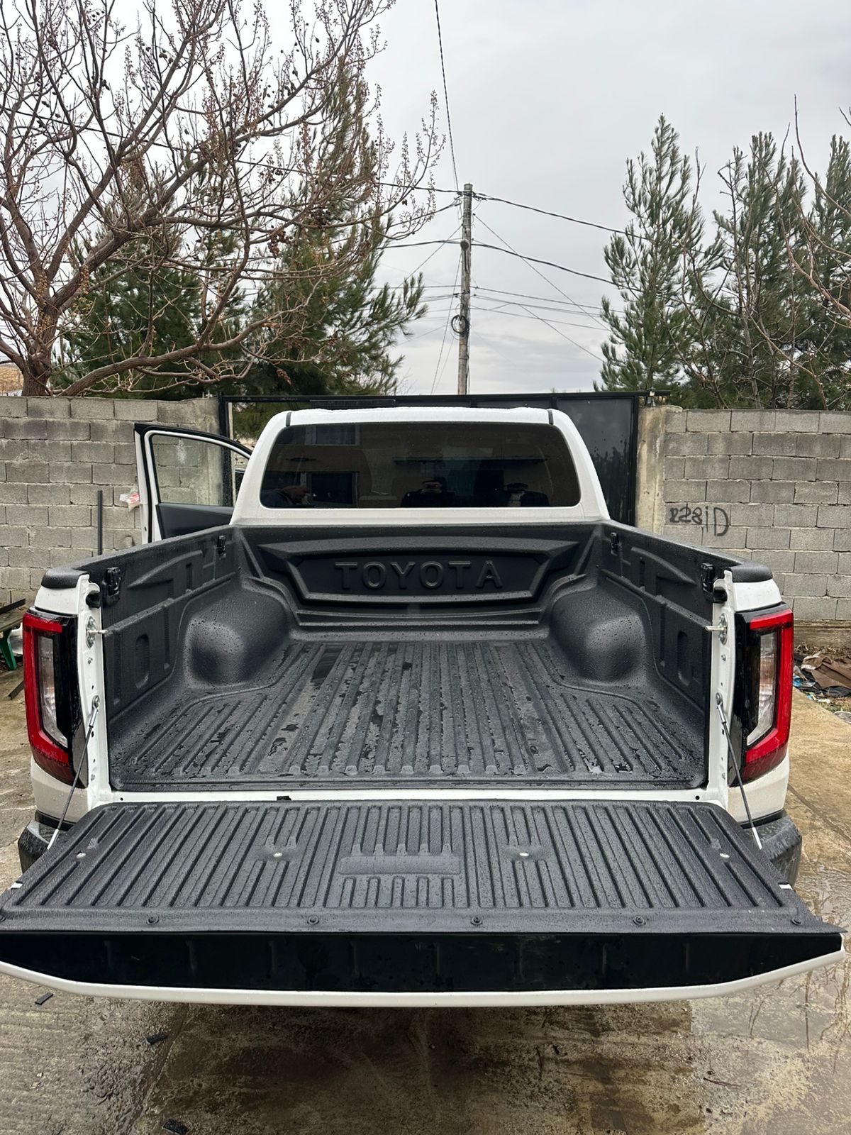 Toyota Hilux საბარგულის ჩასაფენი 2016-2025